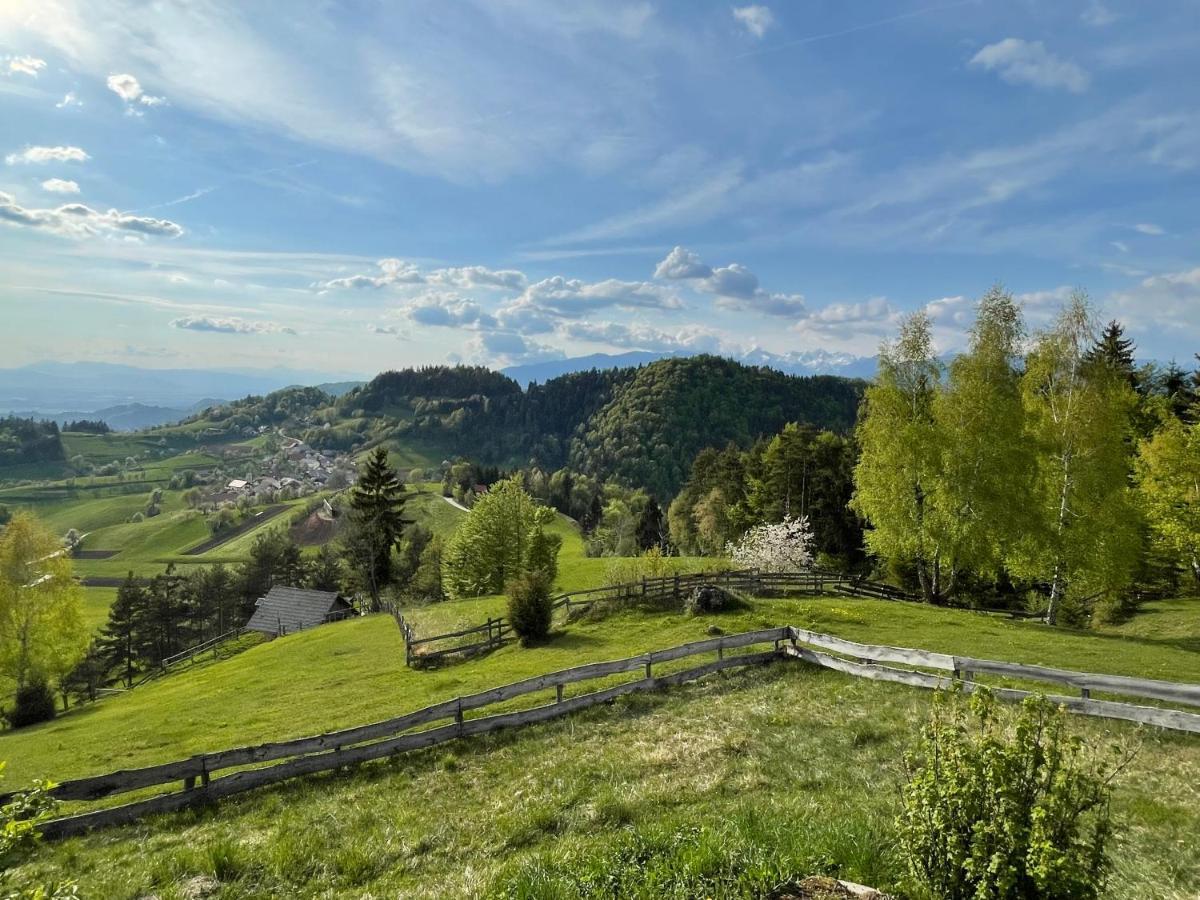 Mountain View Cottage Kamnik Exterior foto