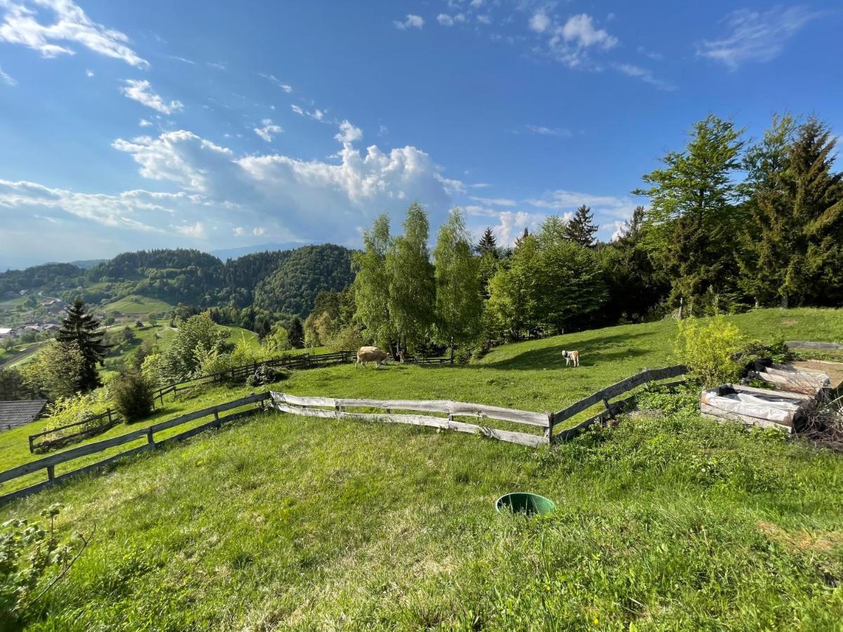 Mountain View Cottage Kamnik Exterior foto